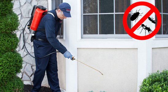 Divriği Kene İlaçlama böcek ilaçlama ve haşere kontrolü — ilaclama-tr.com